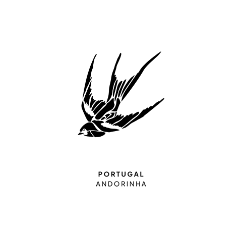 Single Image
