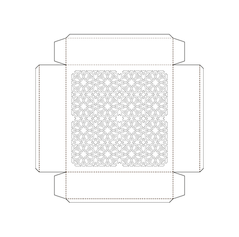 Single Image