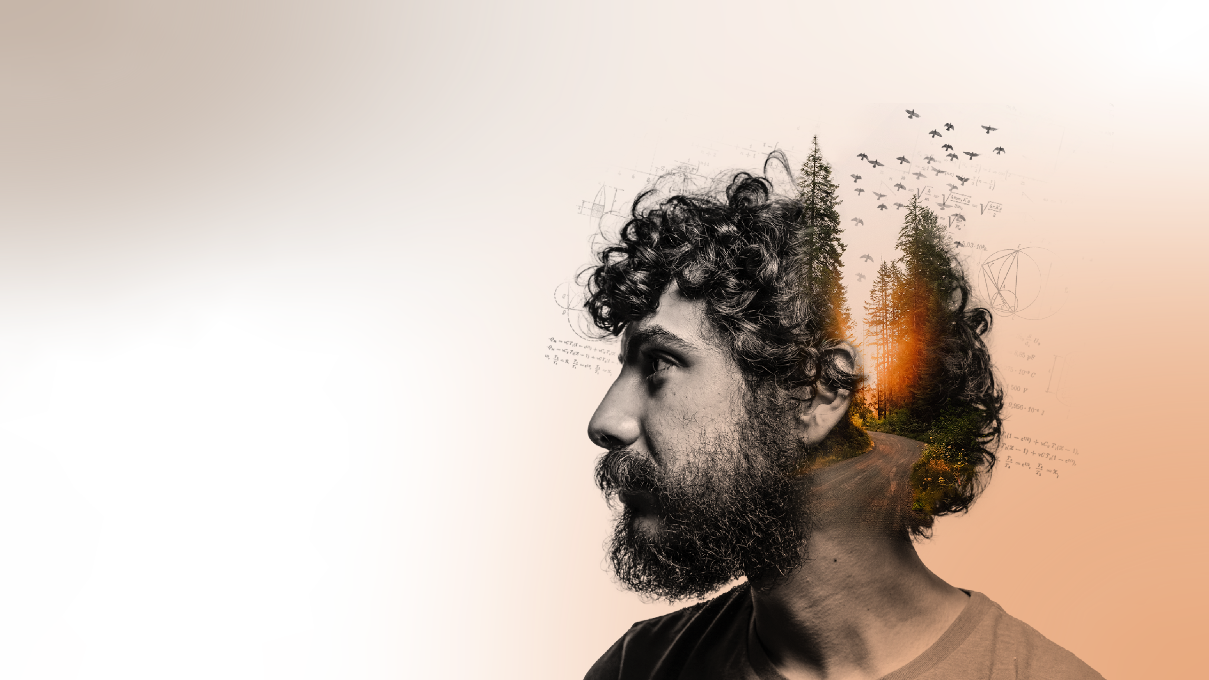 Big Slider Project Image