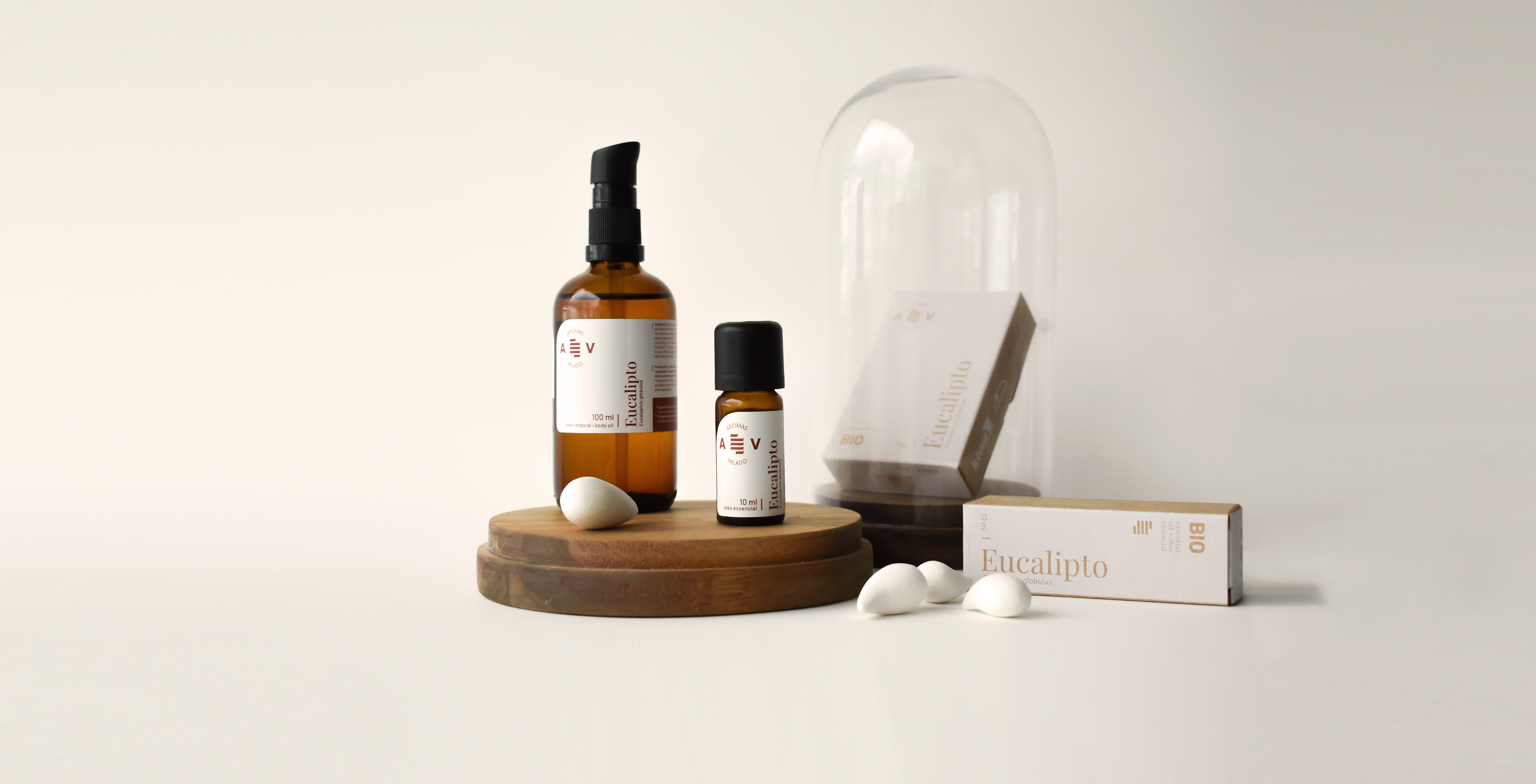 Big Slider Project Image